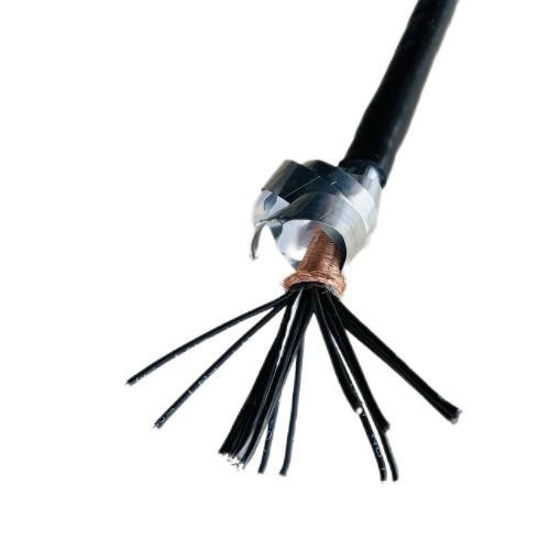 亚洲国产熟妇无码日韩