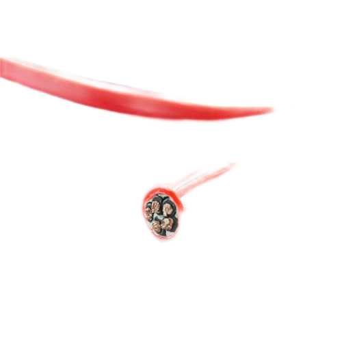 亚洲国产熟妇无码日韩