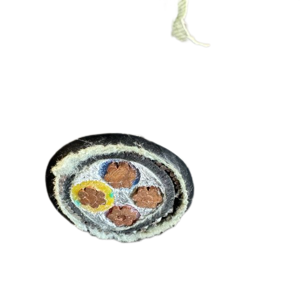 亚洲国产熟妇无码日韩