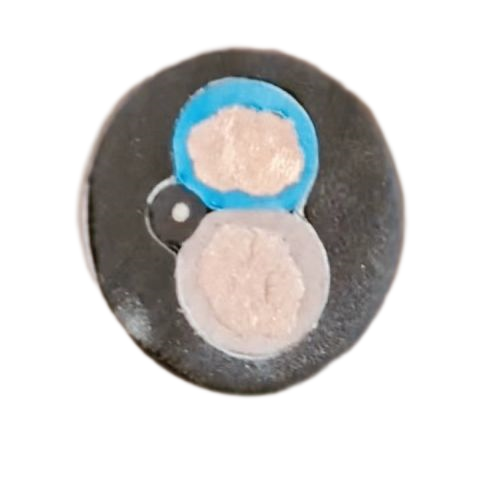 亚洲国产熟妇无码日韩