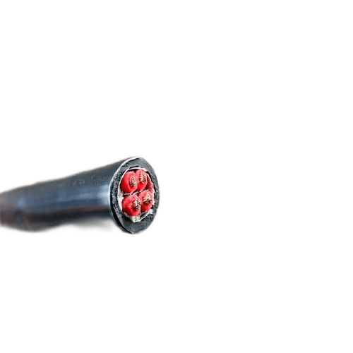 亚洲国产熟妇无码日韩