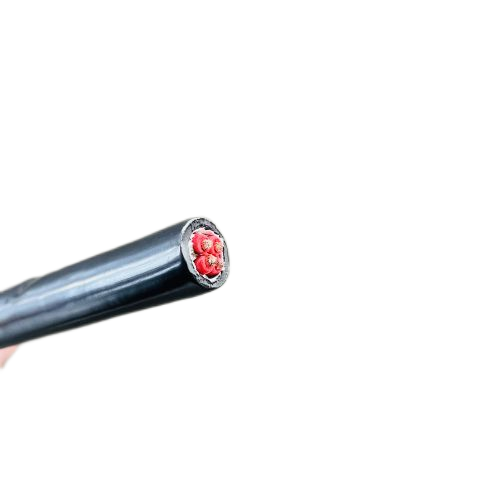 亚洲国产熟妇无码日韩