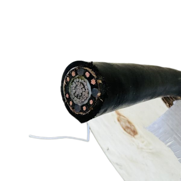 亚洲国产熟妇无码日韩