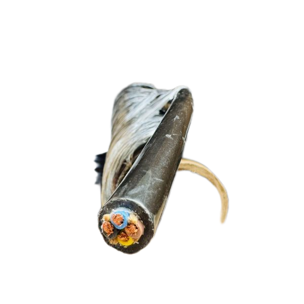 亚洲国产熟妇无码日韩