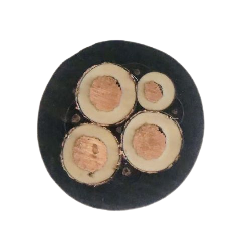 亚洲国产熟妇无码日韩