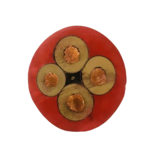 亚洲国产熟妇无码日韩