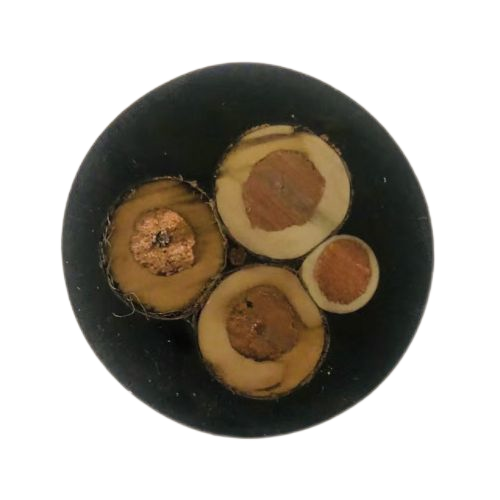 亚洲国产熟妇无码日韩