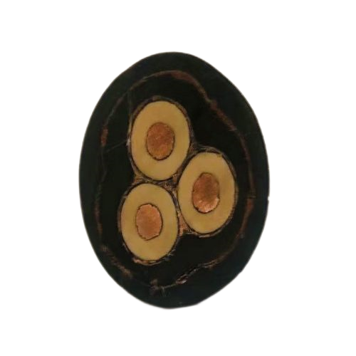 亚洲国产熟妇无码日韩