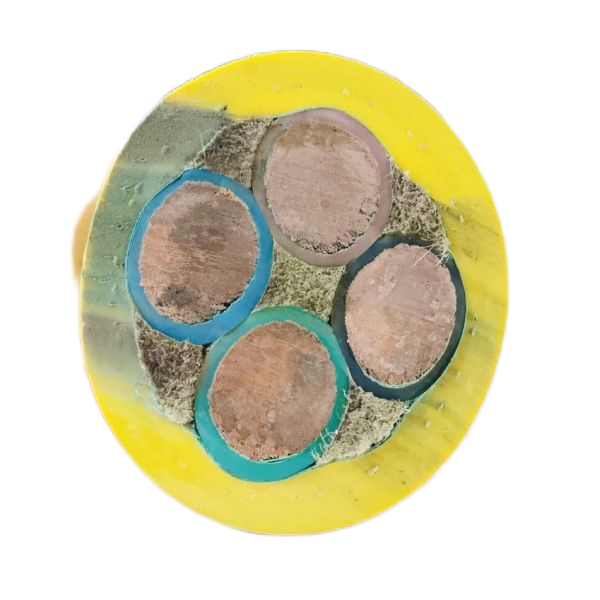 亚洲国产熟妇无码日韩