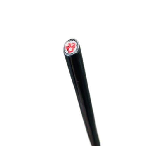 亚洲国产熟妇无码日韩