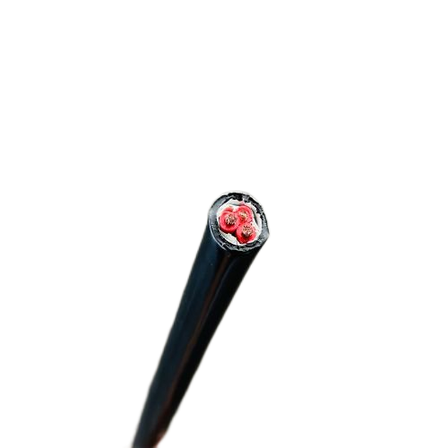 亚洲国产熟妇无码日韩