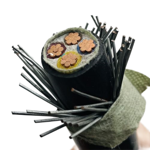 亚洲国产熟妇无码日韩