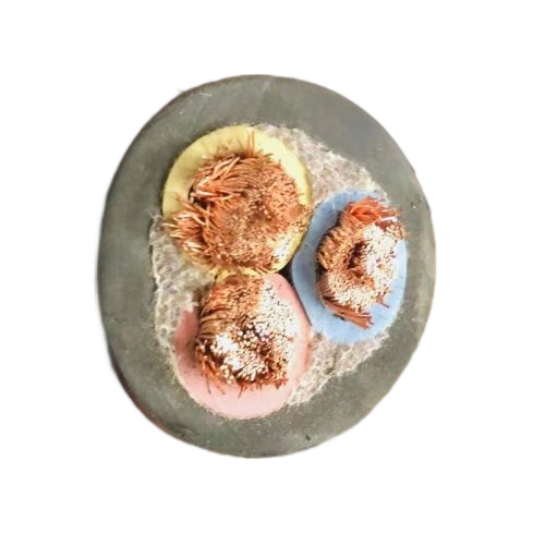 亚洲国产熟妇无码日韩