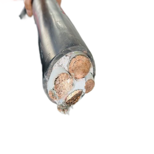 亚洲国产熟妇无码日韩