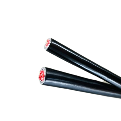 亚洲国产熟妇无码日韩