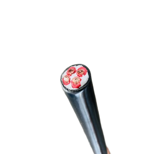 亚洲国产熟妇无码日韩