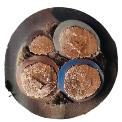 亚洲国产熟妇无码日韩