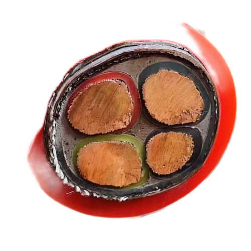 亚洲国产熟妇无码日韩