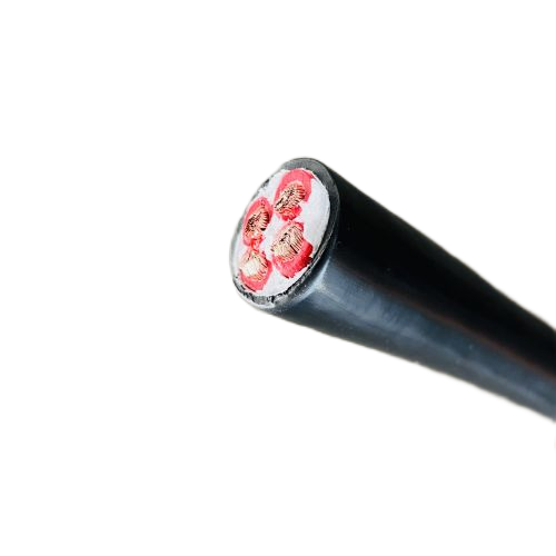 亚洲国产熟妇无码日韩