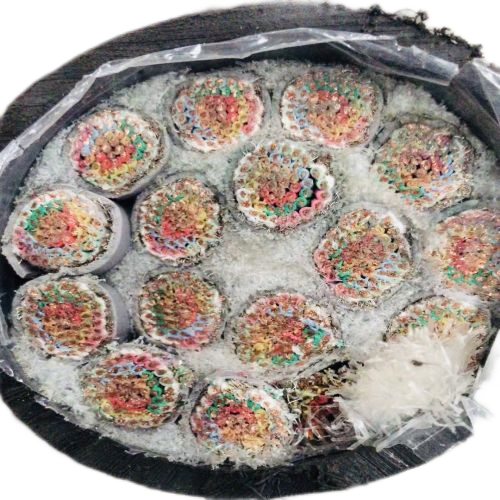 亚洲国产熟妇无码日韩