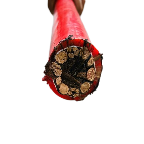 亚洲国产熟妇无码日韩