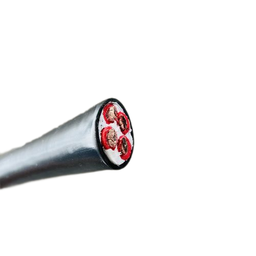 亚洲国产熟妇无码日韩