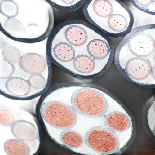 亚洲国产熟妇无码日韩