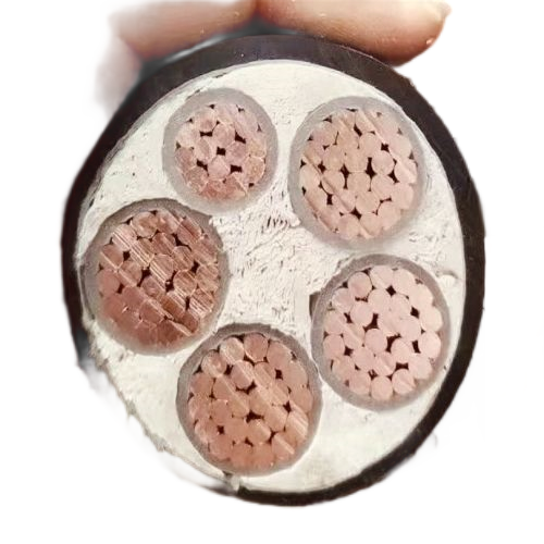 亚洲国产熟妇无码日韩