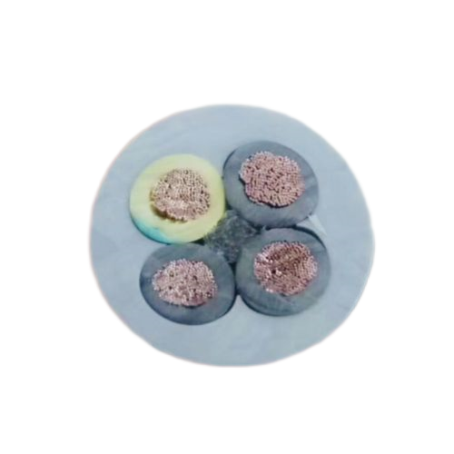 亚洲国产熟妇无码日韩