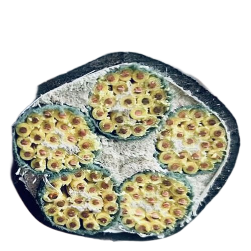 亚洲国产熟妇无码日韩