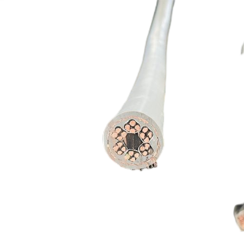 亚洲国产熟妇无码日韩