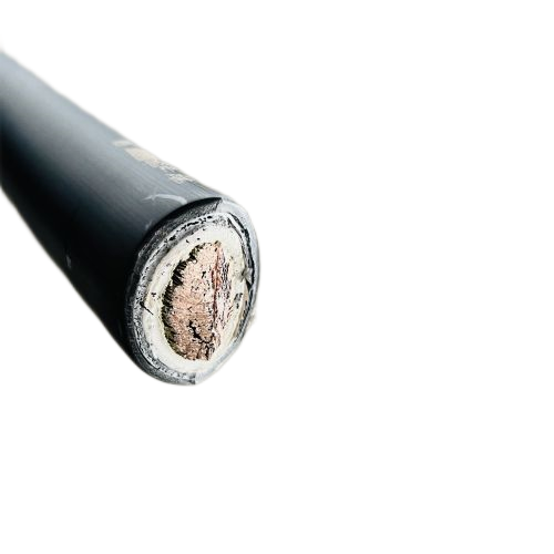 亚洲国产熟妇无码日韩