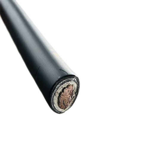 亚洲国产熟妇无码日韩