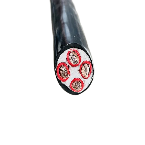 亚洲国产熟妇无码日韩