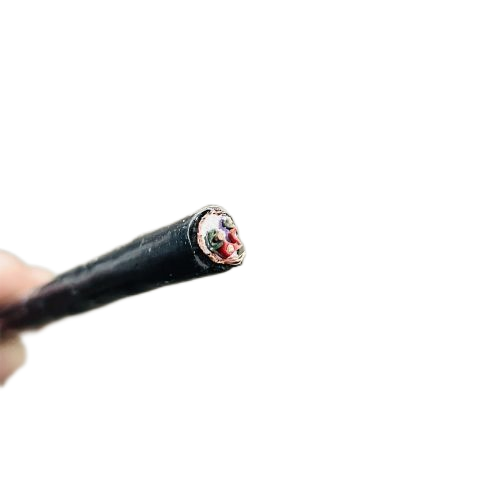 亚洲国产熟妇无码日韩