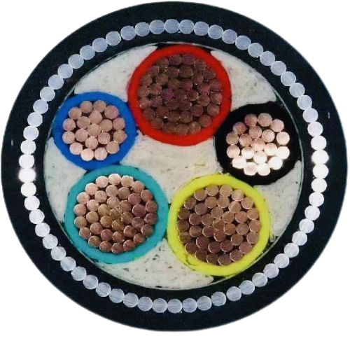 亚洲国产熟妇无码日韩