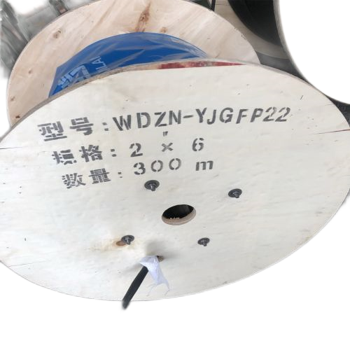 亚洲国产熟妇无码日韩