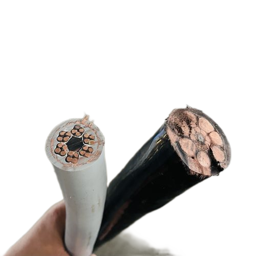 亚洲国产熟妇无码日韩