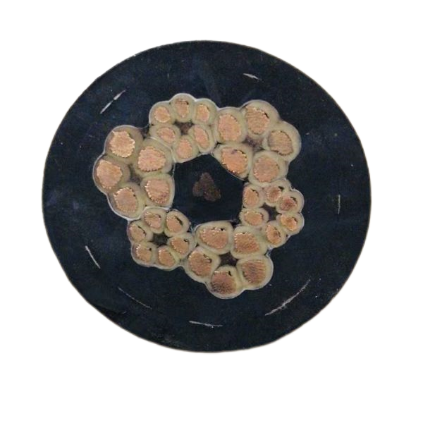 亚洲国产熟妇无码日韩