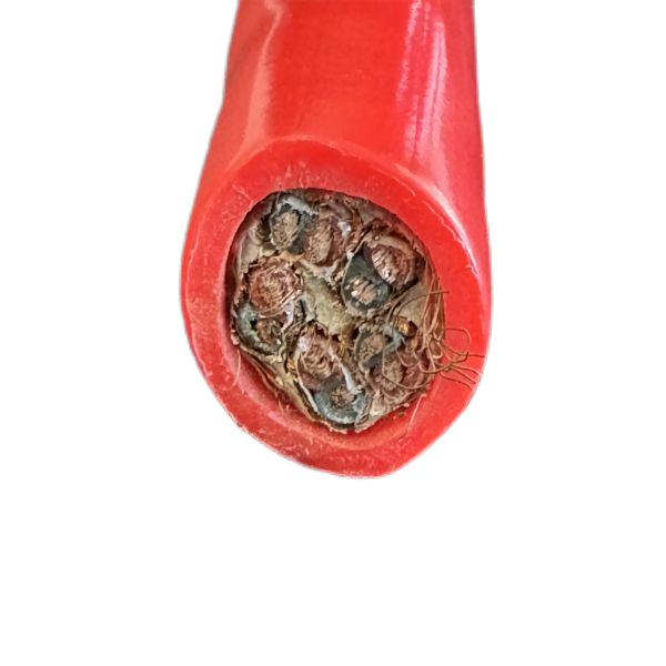 亚洲国产熟妇无码日韩