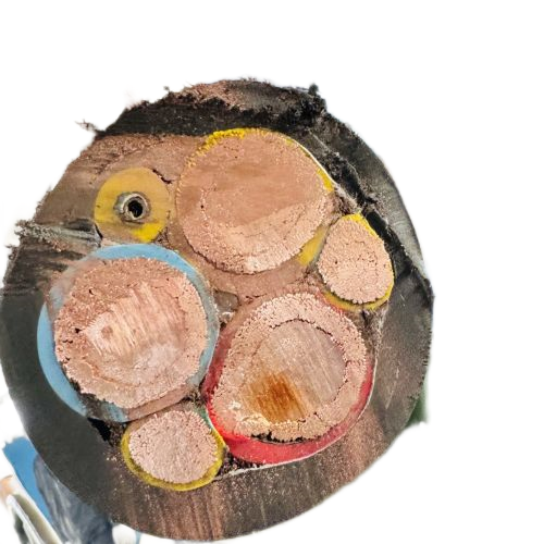 亚洲国产熟妇无码日韩