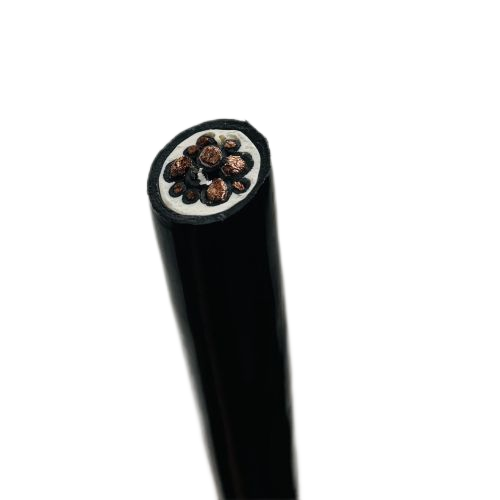 亚洲国产熟妇无码日韩