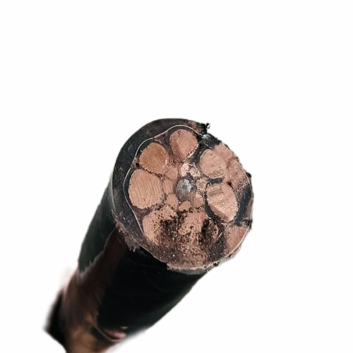 亚洲国产熟妇无码日韩