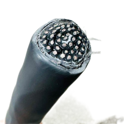 亚洲国产熟妇无码日韩