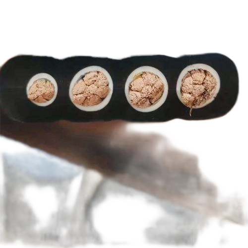 亚洲国产熟妇无码日韩