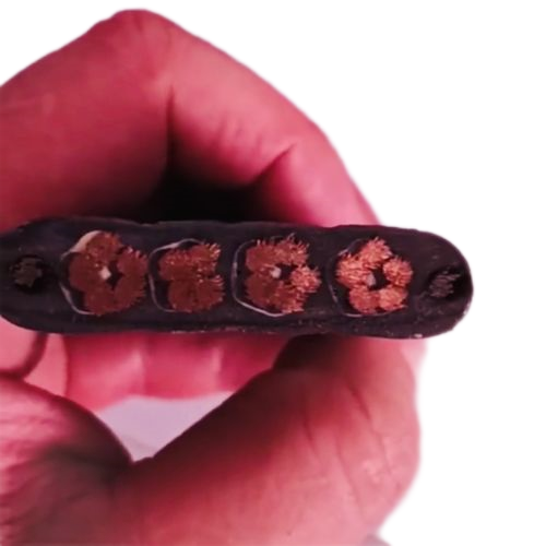 亚洲国产熟妇无码日韩