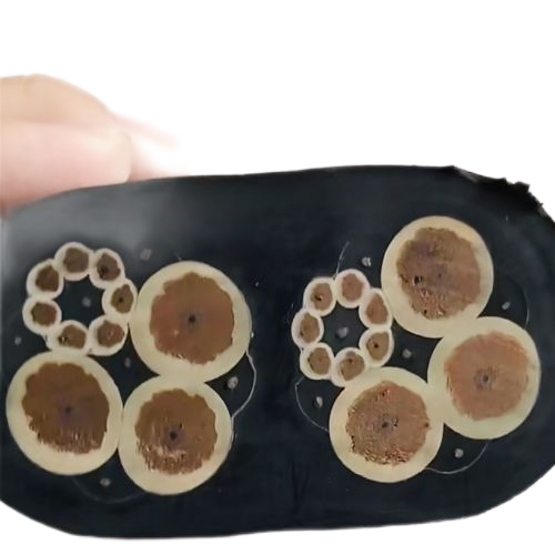 亚洲国产熟妇无码日韩