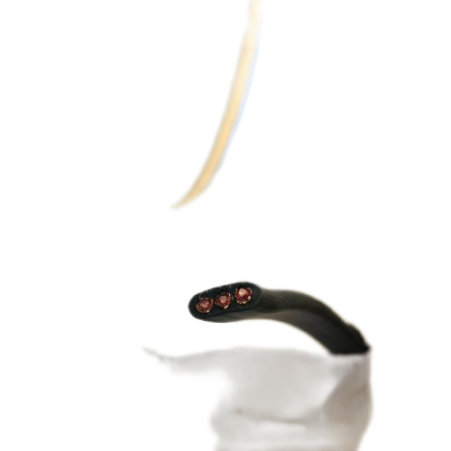 亚洲国产熟妇无码日韩