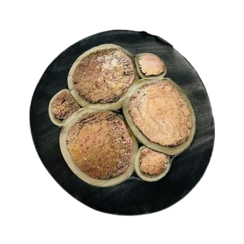 亚洲国产熟妇无码日韩