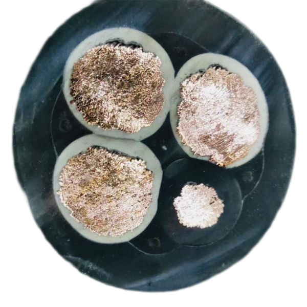 亚洲国产熟妇无码日韩